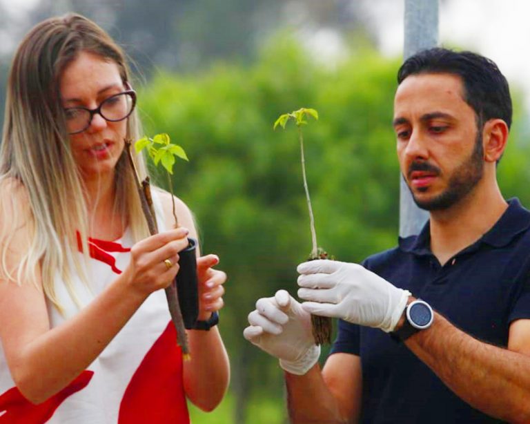 Professores De Educação Física Plantam árvores Nativas No Campus Uvaranas Universidade 1223