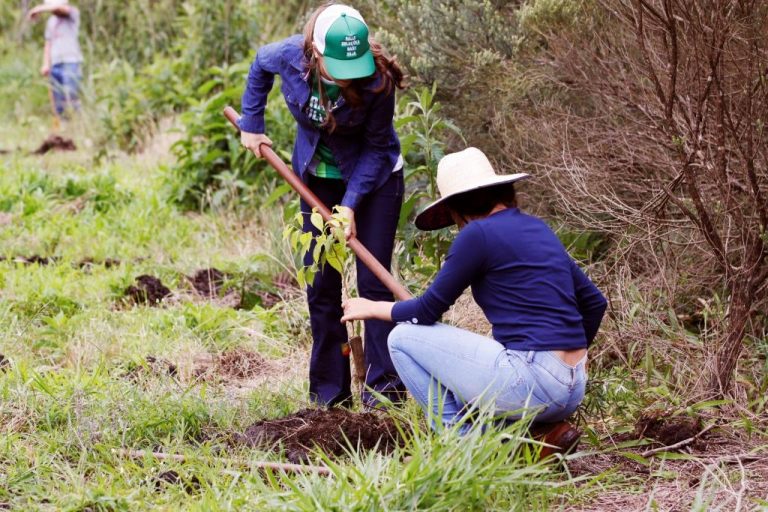 Alunos Plantam Mudas De árvores Na Fazenda Escola Universidade Estadual De Ponta Grossa 9872