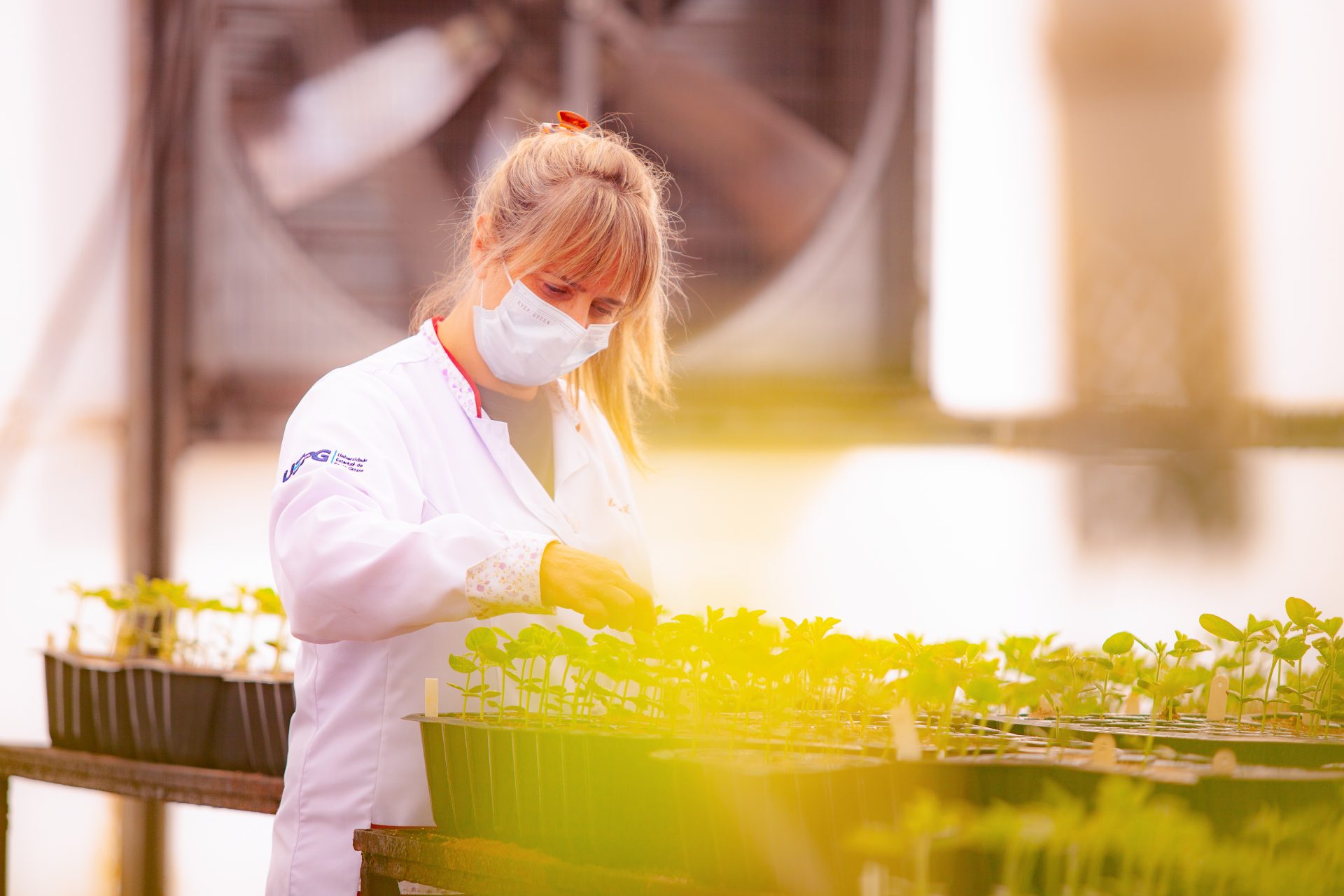 Amor Dedicação E Gratidão Luciane Faz Parte Do Curso De Agronomia Há 32 Anos Universidade 5932