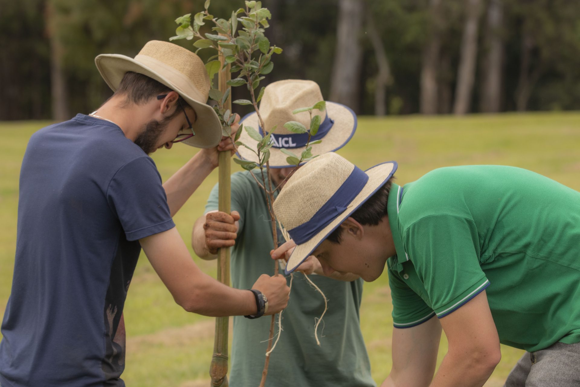 Uepg Abre Inscrições Para Residência Em Engenharia E Gestão Ambiental Universidade Estadual De 9125