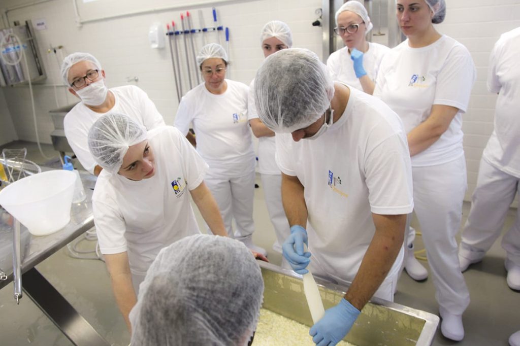 Curso De Fabricação De Queijos Está Com Inscrições Abertas Universidade Estadual De Ponta Grossa 4098