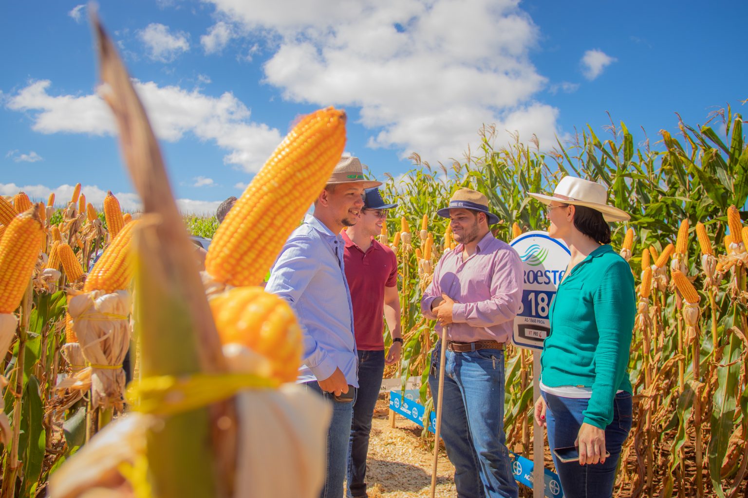 Uepg Abre Inscrições Para Mestrado Em Agronomia Universidade Estadual De Ponta Grossa 1238