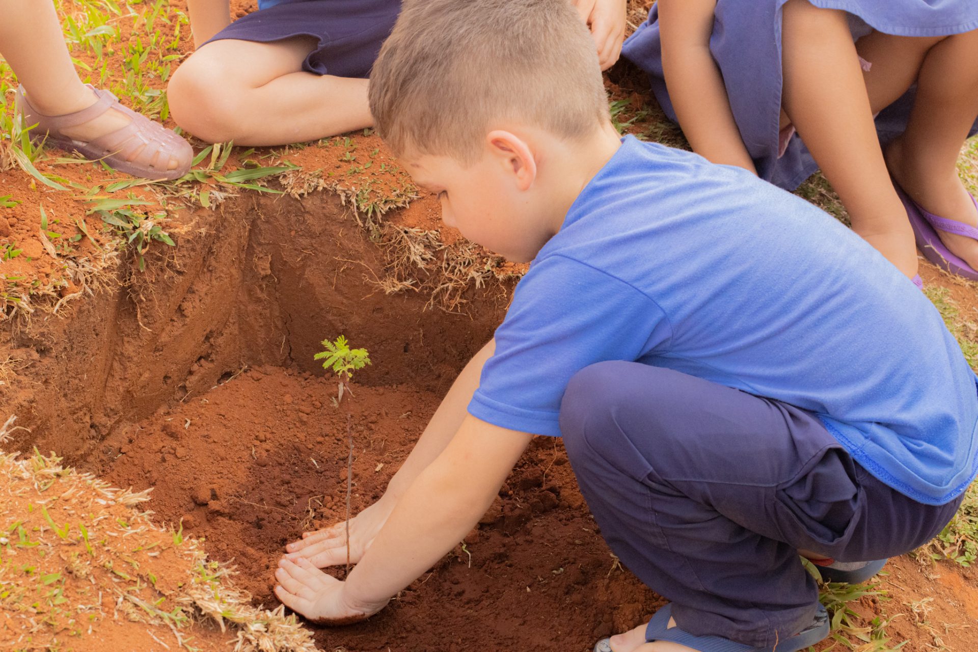 Viveiro da UEPG realiza atividades de extensão em escolas de Ponta Grossa