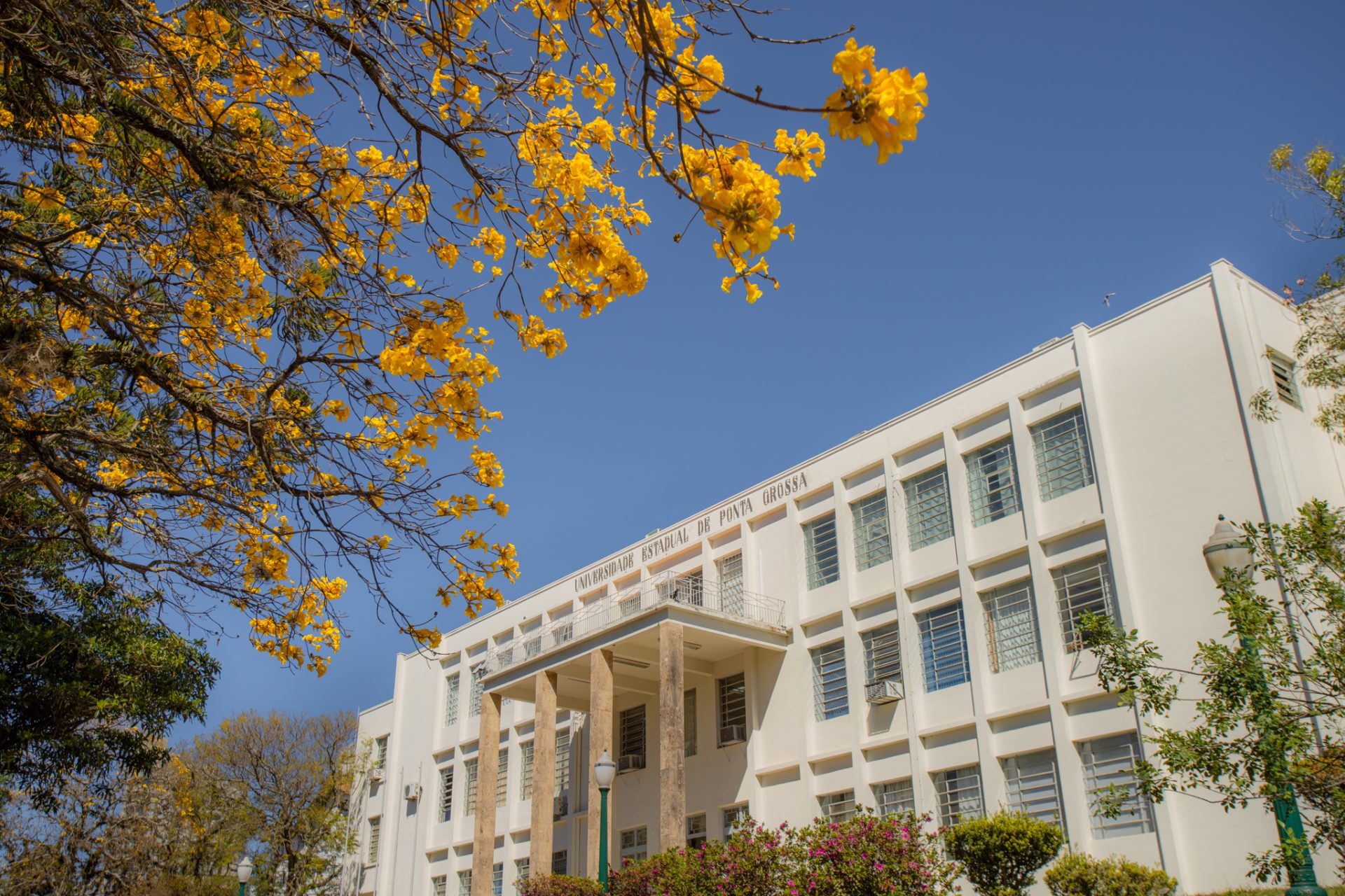 UEPG se destaca em ranking nacional de universidades