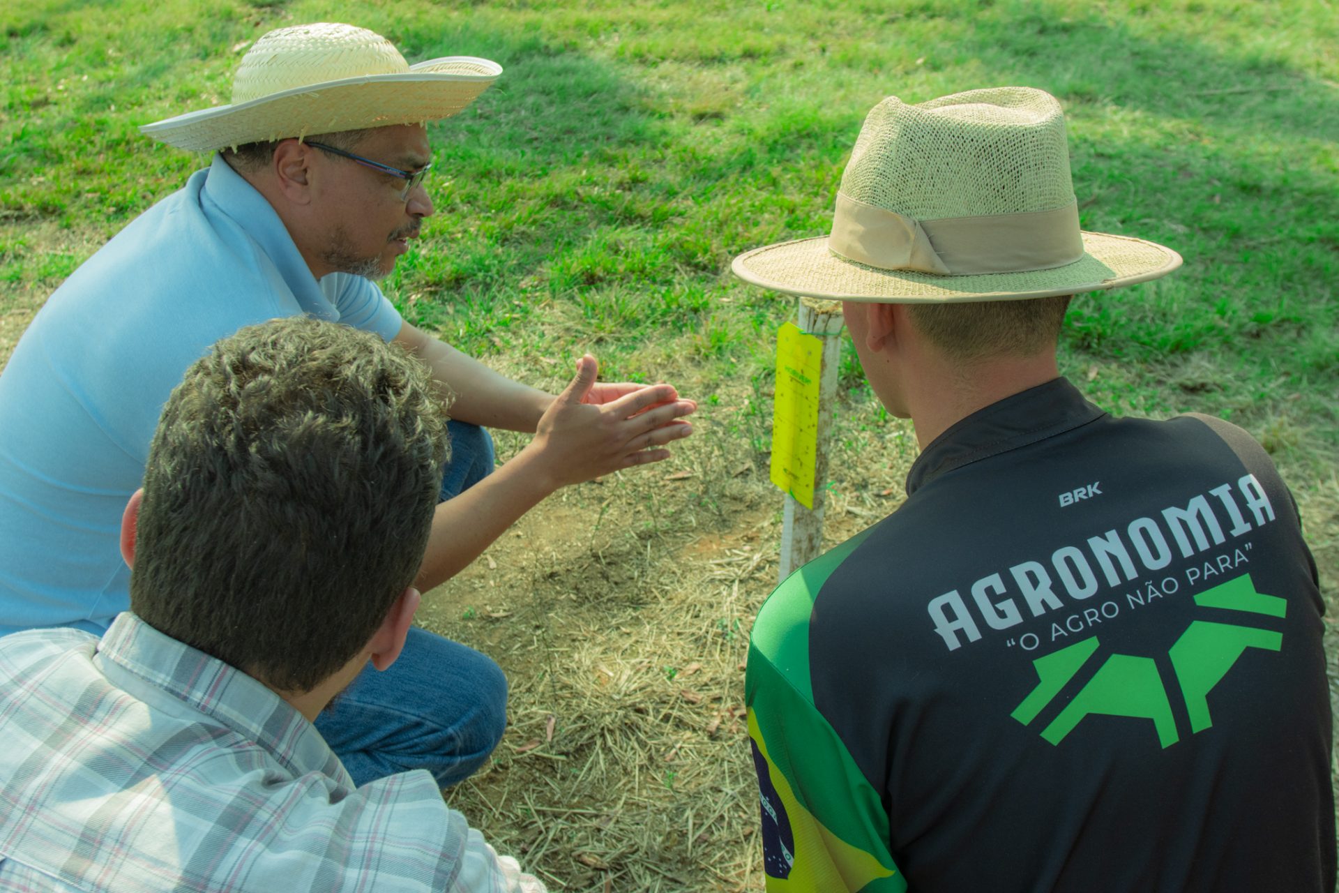 Professor da UEPG participa de publicação internacional sobre manejo de pragas